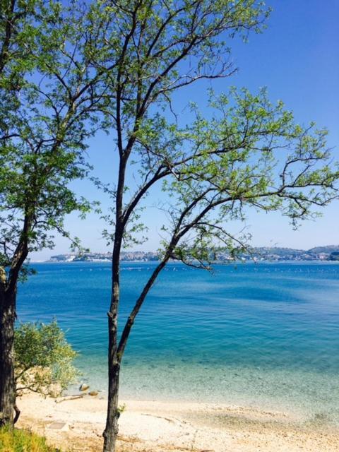 Apartment Umag Nelly Екстериор снимка