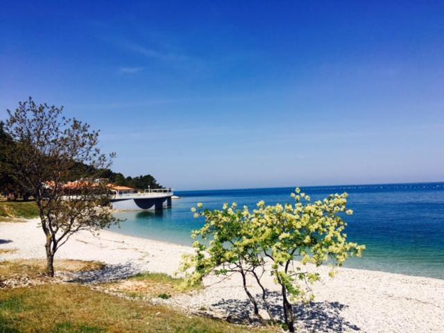 Apartment Umag Nelly Екстериор снимка