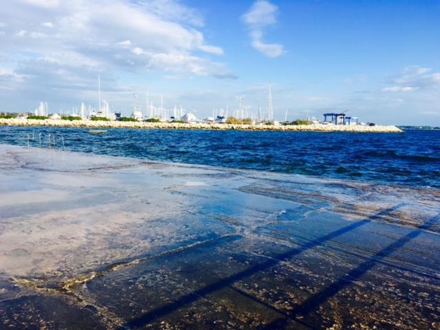Apartment Umag Nelly Екстериор снимка